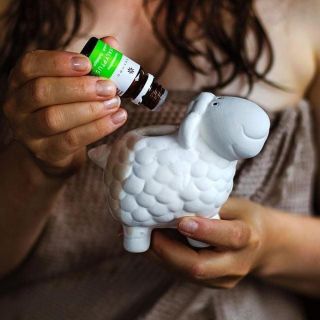 V sauně🔥 to na Vás musí dýchnout neodolatelnou vůní🌬 Velký výběr saunových doplňků včetně osvěžujících a dýchání...